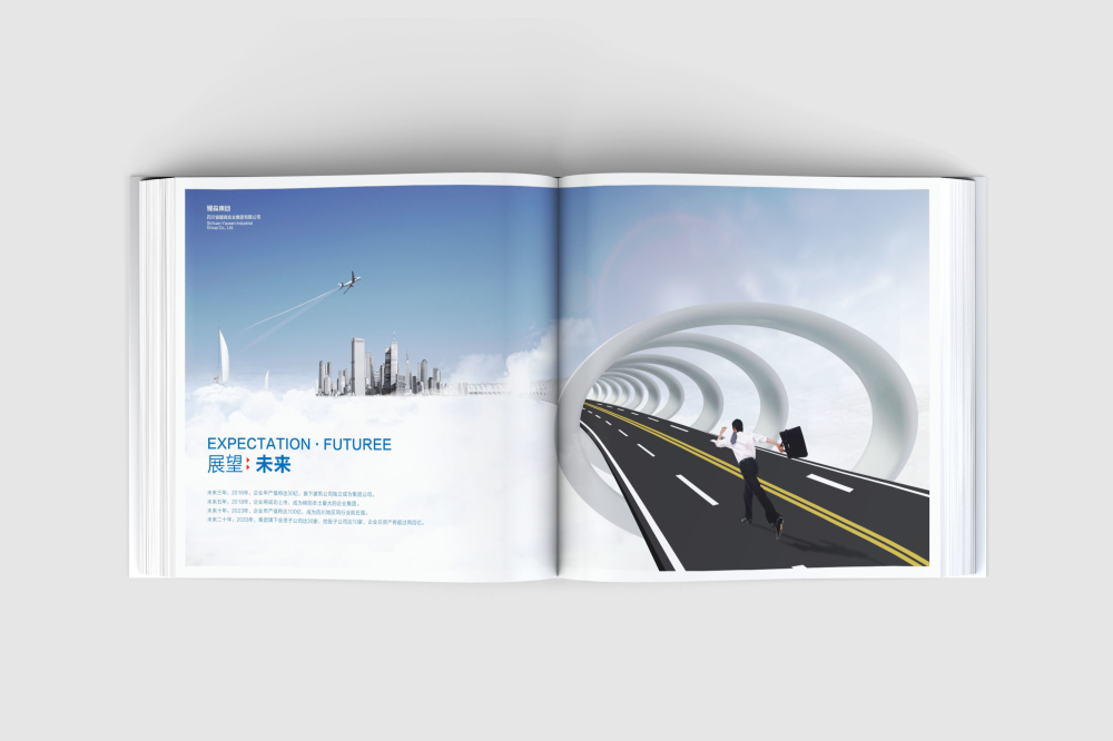 杏花岭区画册设计